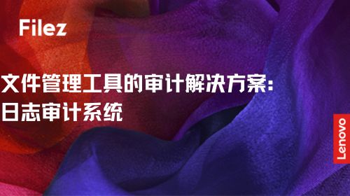 文件管理工具的审计解决方案：日志审计系统