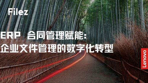 ERP 合同管理赋能：企业文件管理的数字化转型