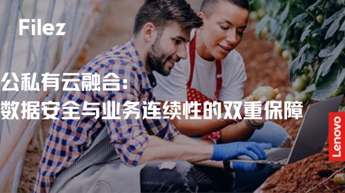 公私有云融合：数据安全与业务连续性的双重保障