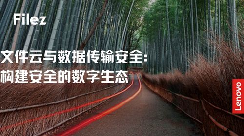 文件云与数据传输安全：构建安全的数字生态