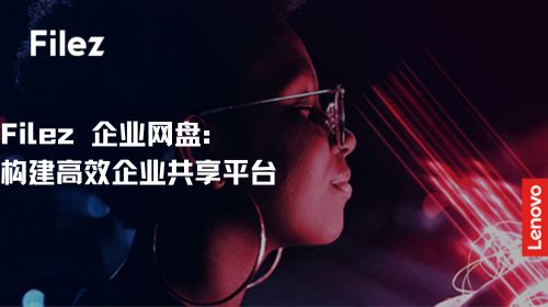 Filez 企业网盘：构建高效企业共享平台