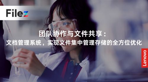 团队协作与文件共享：文档管理系统，实现文件集中管理存储的全方位优化