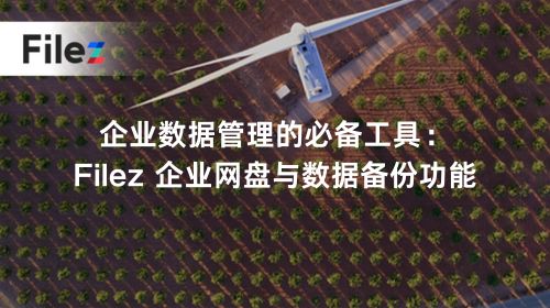 企业数据管理的必备工具：Filez 企业网盘与数据备份功能