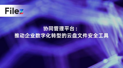 协同管理平台：推动企业数字化转型的云盘文件安全工具