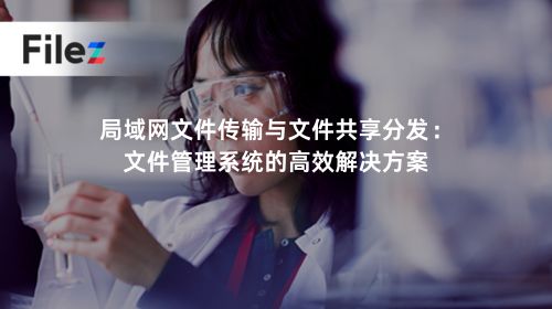 局域网文件传输与文件共享分发：文件管理系统的高效解决方案