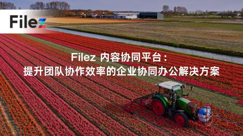 Filez 内容协同平台：提升团队协作效率的企业协同办公解决方案