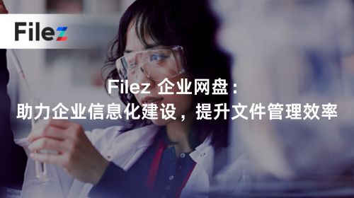 Filez 企业网盘：助力企业信息化建设，提升文件管理效率
