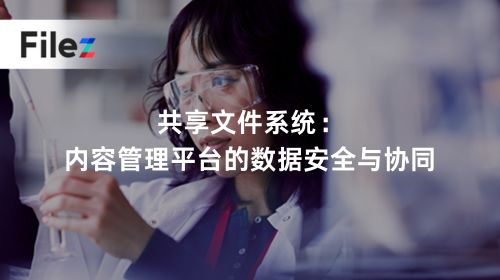共享文件系统：内容管理平台的数据安全与协同