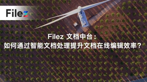 Filez 文档中台：如何通过智能文档处理提升文档在线编辑效率？